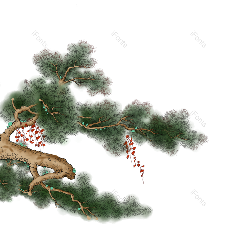 植物素材图片,松树元素,画画PNG,绿色植物免抠素材